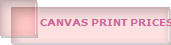 CANVAS PRINT PRICES